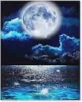 月と海　フレーム付き 楽天市場】【最大500円クーポン】 在庫限り フレームアート